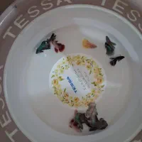 بتا فایتر هافمون