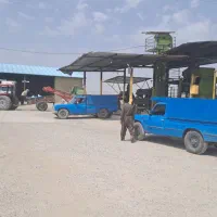 مرکز اصلاح وبوجاری بذر گندم بابایی