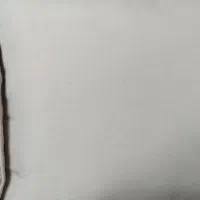 روتختی ۲نفره