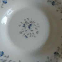 بشقاب و فنجان پارس اوپال