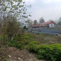 فرصت نایاب، خرید زمین مسکونی در لفور بورخانی