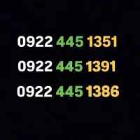 0922.445.1351