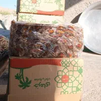 فروش خرما|خوردنی و آشامیدنی|فسارود, |دیوار