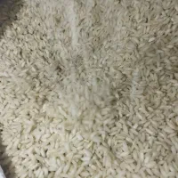 عمده فروش برنج عنبربو دانه بلند