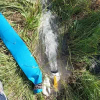 باغچه 1000متر