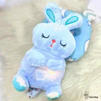 خرگوش زبل آبی