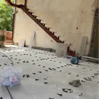 گروه مهندسی ساختمان بنیان|خدمات پیشه و مهارت|تنکابن, |دیوار