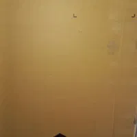فروش دو کارتن کلور دو قلو