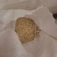 فروش خرده برنج کامفیروز اصل|خوردنی و آشامیدنی|شیراز, شهرک مدرس|دیوار