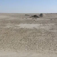 مزرعه پرورش میگو|فروش دفتر صنعتی، کشاورزی، تجاری|تخت, |دیوار