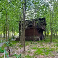 زیبایی ها در تک پروژه ایران