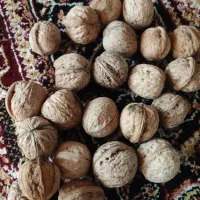 گردو|خوردنی و آشامیدنی|پاوه, |دیوار