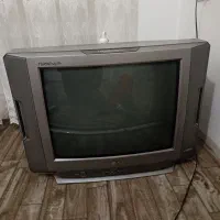 تلویزیون