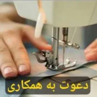 تولیدی لباس تیشرت زنانه
