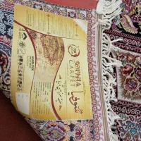 فرش۹متری وکناره|فرش|قم, هفت تیر|دیوار