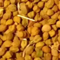 فروش دو تن نخود قرمز