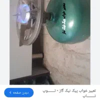 پیکنیک