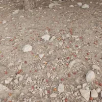 فروش-ی-قطعه-زمین-500متری-پشت-باغ-روستای-سرخون