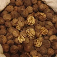 گردو پوست کاغذی وروغنی و آبغوره