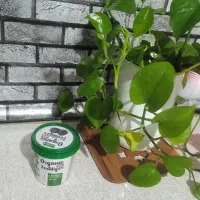 قرص کود گل وگیاه