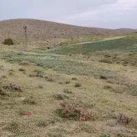 زمین-کشاورزی