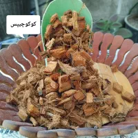 خاک و بستر کشت گیاهان آپارتمانی