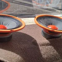 میدرنج نو معاوضه با مرغ عشق یا مرغ با جوجه