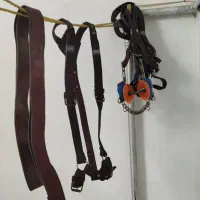 زین اسب بختیاری|اسب و تجهیزات اسب‌سواری|سبزوار, قصبه شرقی|دیوار