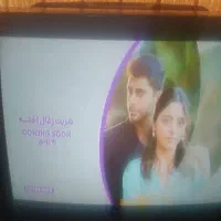 تلویزیون قدیمی|تلویزیون و پروژکتور|شیراز, سلطان آباد|دیوار