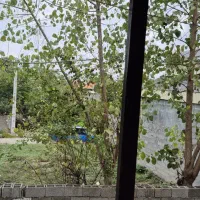 اجاره سوئیت  روزانه در گوراب زرمیخ|اجارهٔ کوتاه‌مدت آپارتمان و سوئیت|گوراب زرمیخ, |دیوار