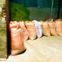 جو یونجه بره میش اسب|لوازم جانبی حیوانات|یاسوج, |دیوار