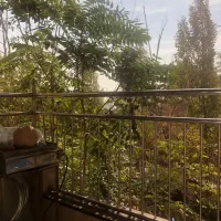 دربند ۲۲۵ متر / ۳ خواب / ویو باغ