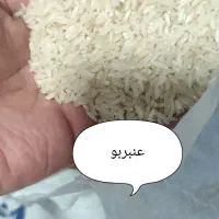 برنج عنبربو / کامفیروز / شیره|خوردنی و آشامیدنی|شیراز, شهرک فرهنگیان|دیوار