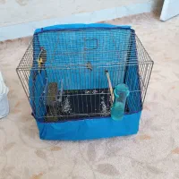 سهره غریب آواز خوان