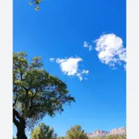 حراج حراج ش غ ل