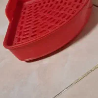 خرگوش