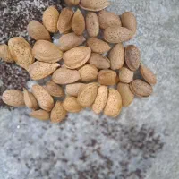 بادام درختی و گردو  امسالی  قوچان