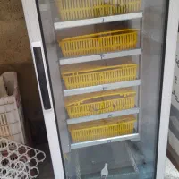 دستگاه جوجه کشی نو ۲۱۰تایی