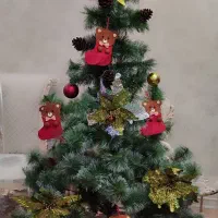 درخت کاج کریسمس