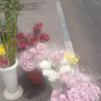 داوودی ویژه شب یلدا