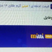 میلی گلد milli-dfaab|فعالیت داوطلبانه|شیراز, لاله|دیوار