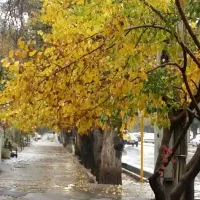 فروش سرقفلی مغازه خیابان نادر