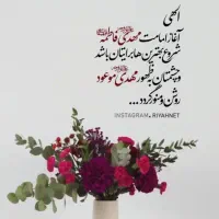 فلش