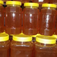 عسل طبیعی