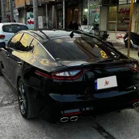 استینگر / گذر موقت / خاص