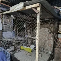 فنس مرغ وخروس