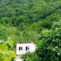 ویلاگلبنفشهدرطبیعترویبلندی