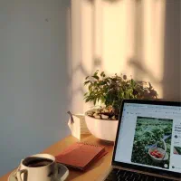 مشاورتحصیلی یک ماهه فقط ۴۹۰تومان