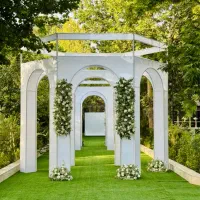 تشریفات لوکس و VIP بارُن