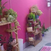 همخونه خانم